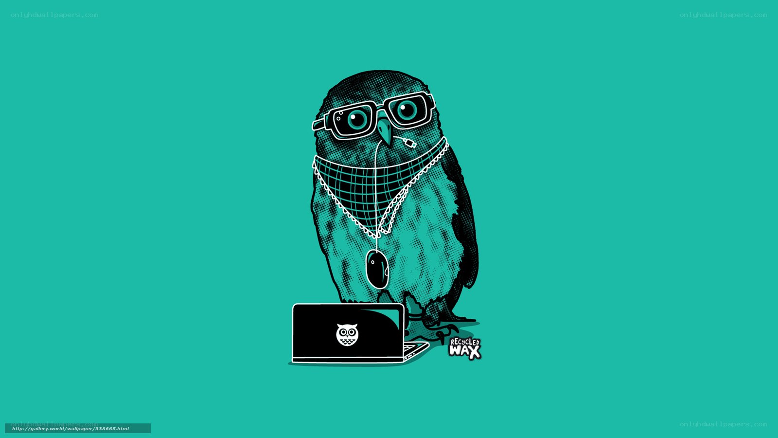 owl with glasses and laptop