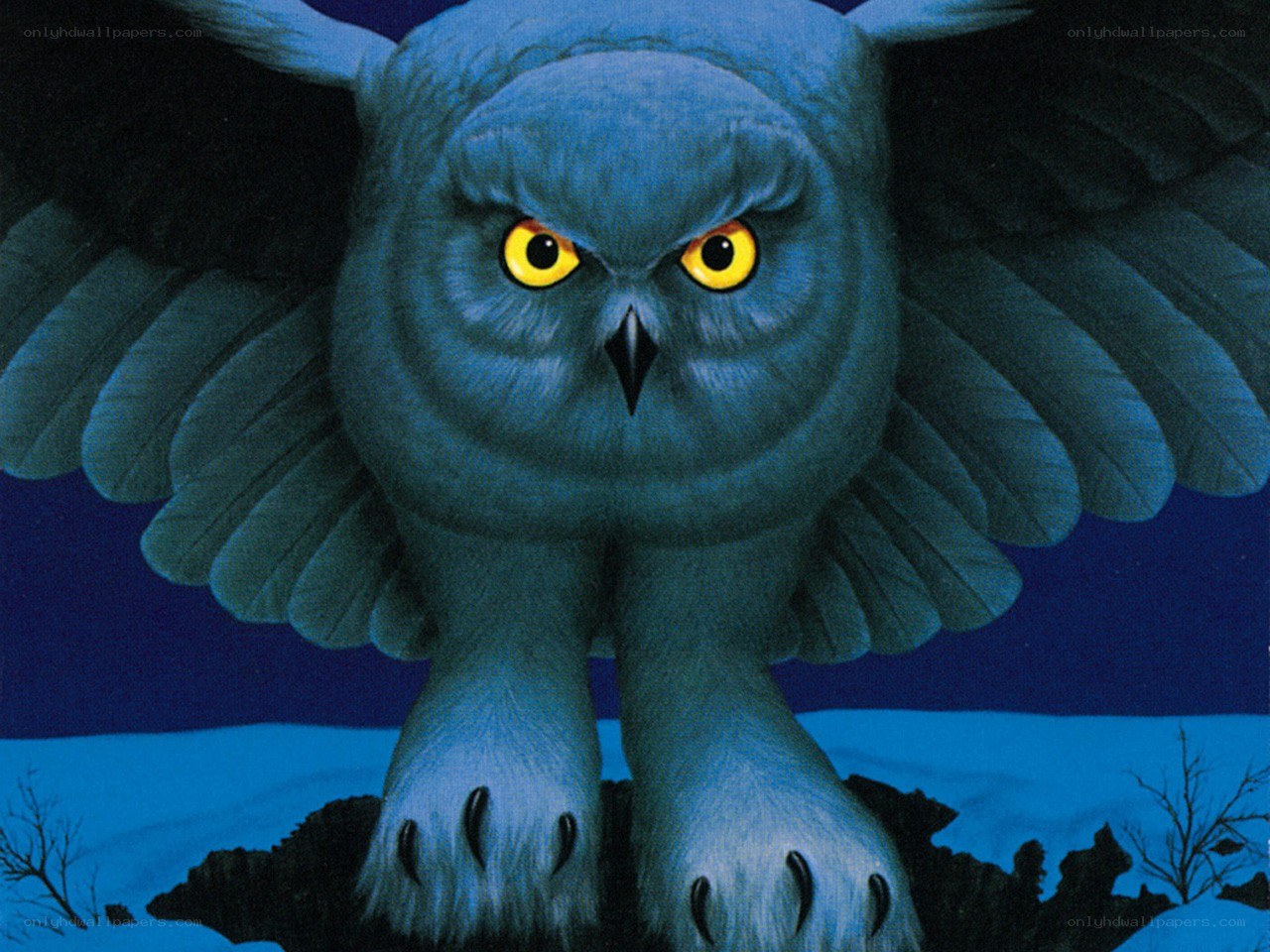 Owl with glowing eyes