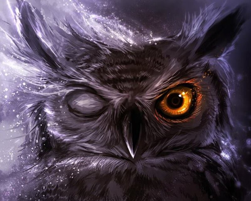 Owl with Glowing Eyes — Black, Dramatic