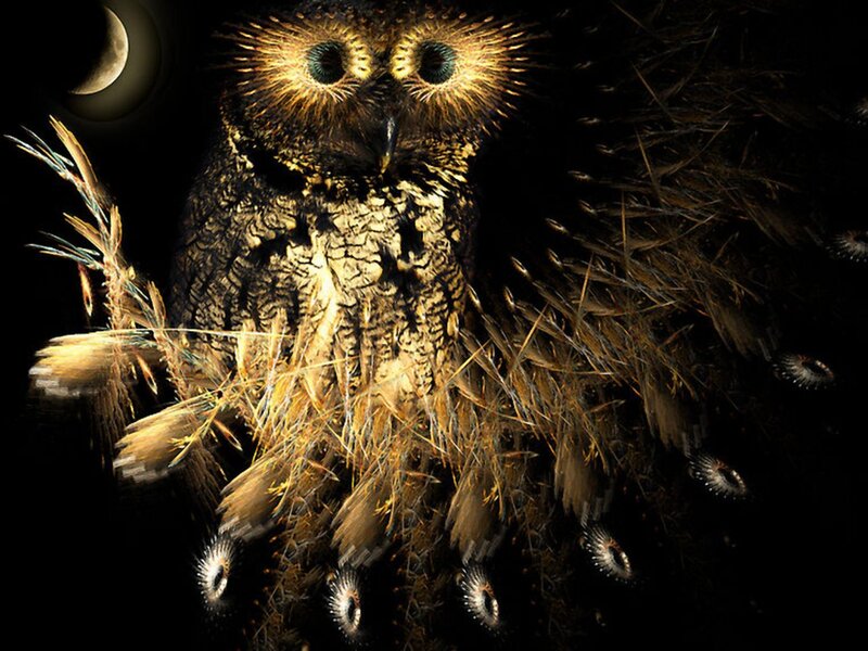 Owl with Glowing Eyes — Black