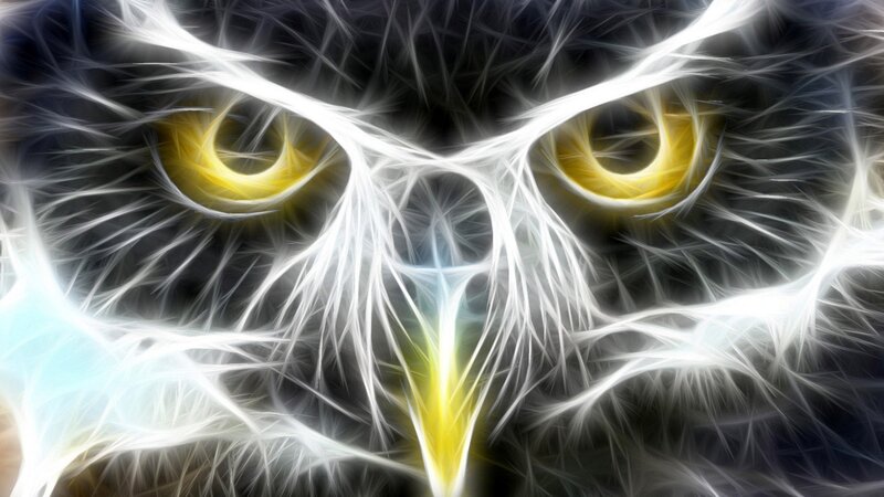 Owl with Glowing Eyes — White, Dramatic