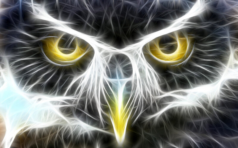 Owl with Glowing Eyes — White