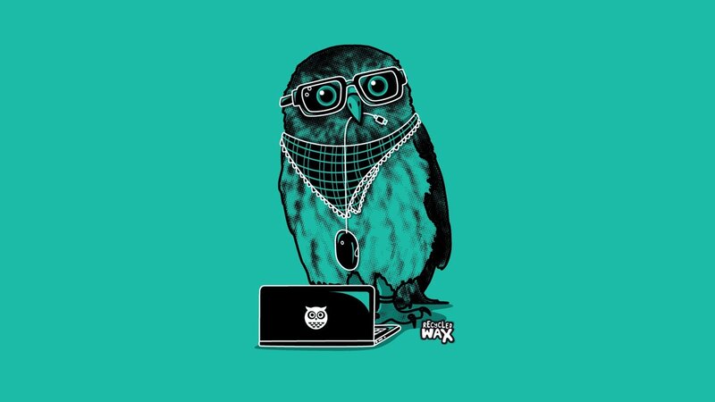 owl with laptop and glasses