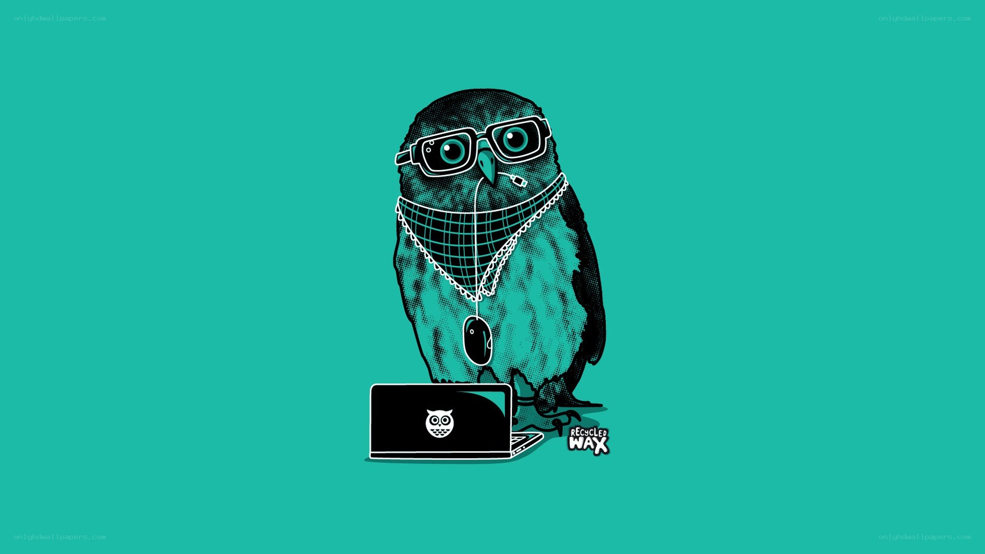 owl with laptop and glasses