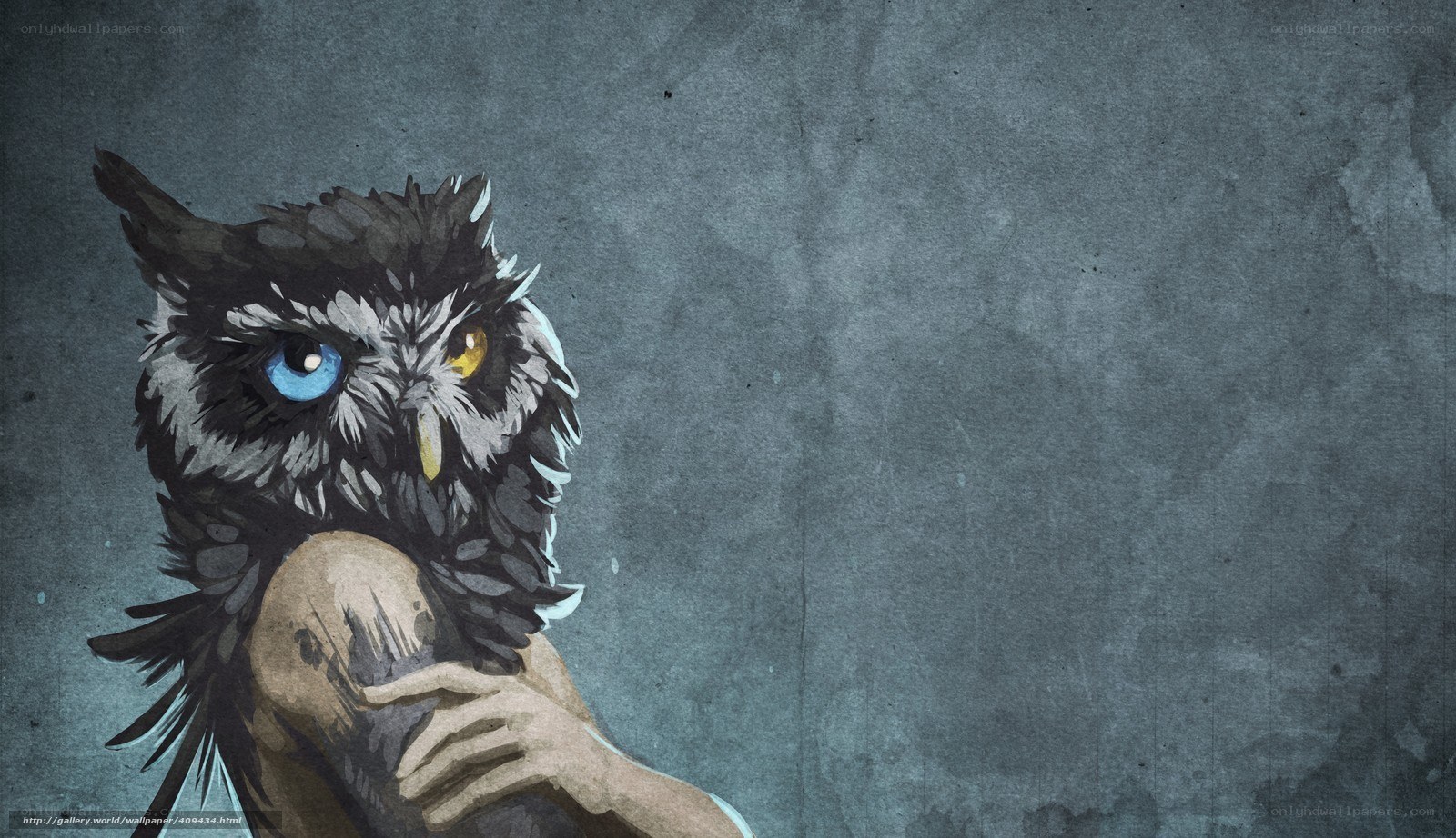 owl with mismatched eyes