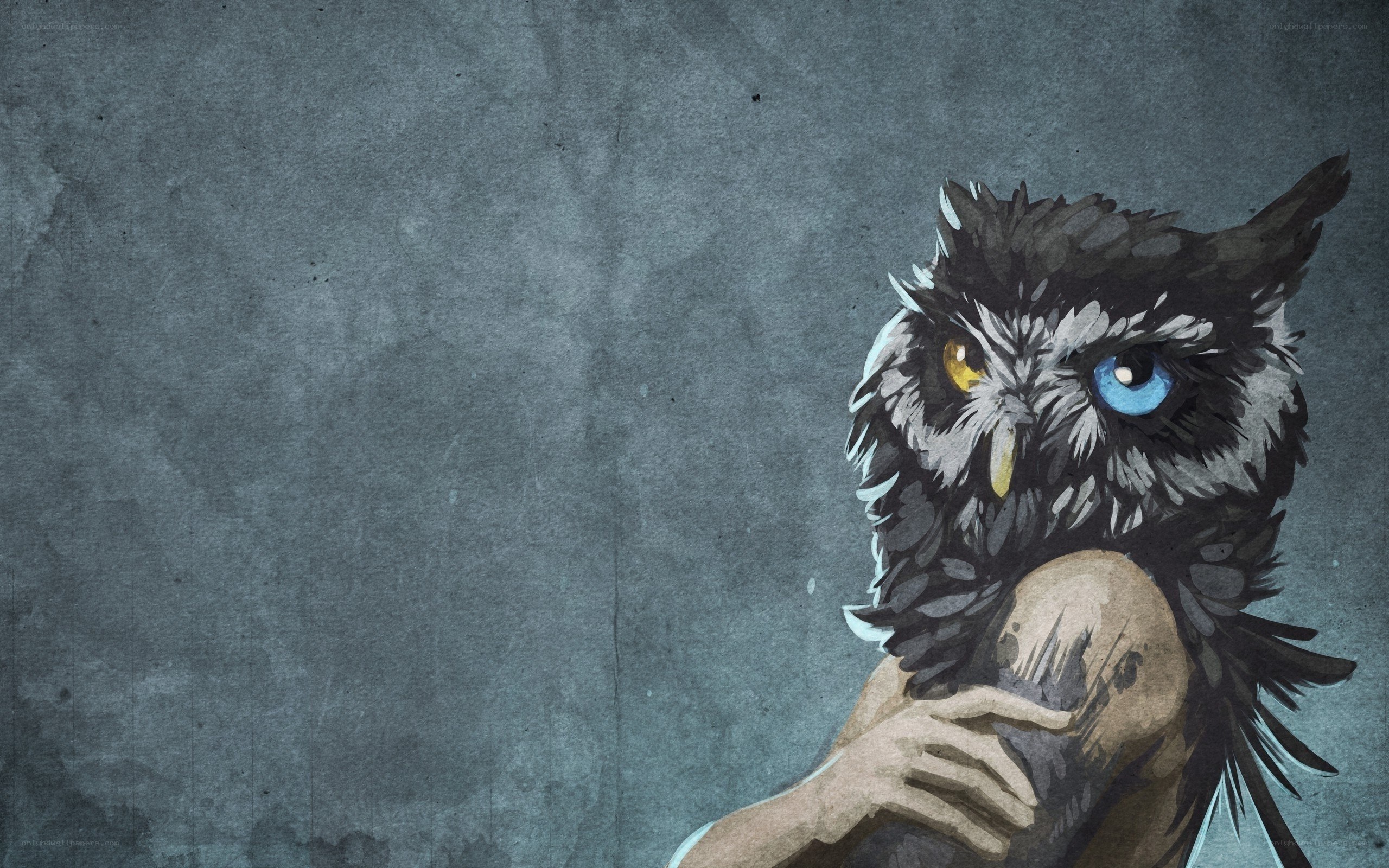 owl with mismatched eyes