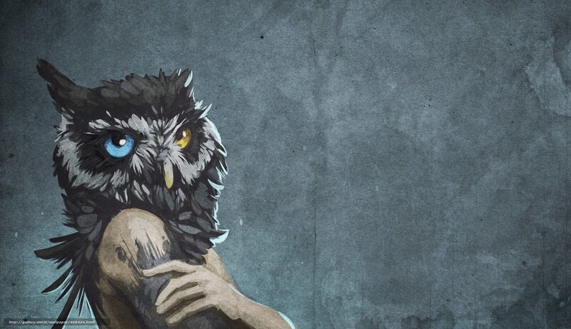 Owl with Mismatched Eyes — Gray