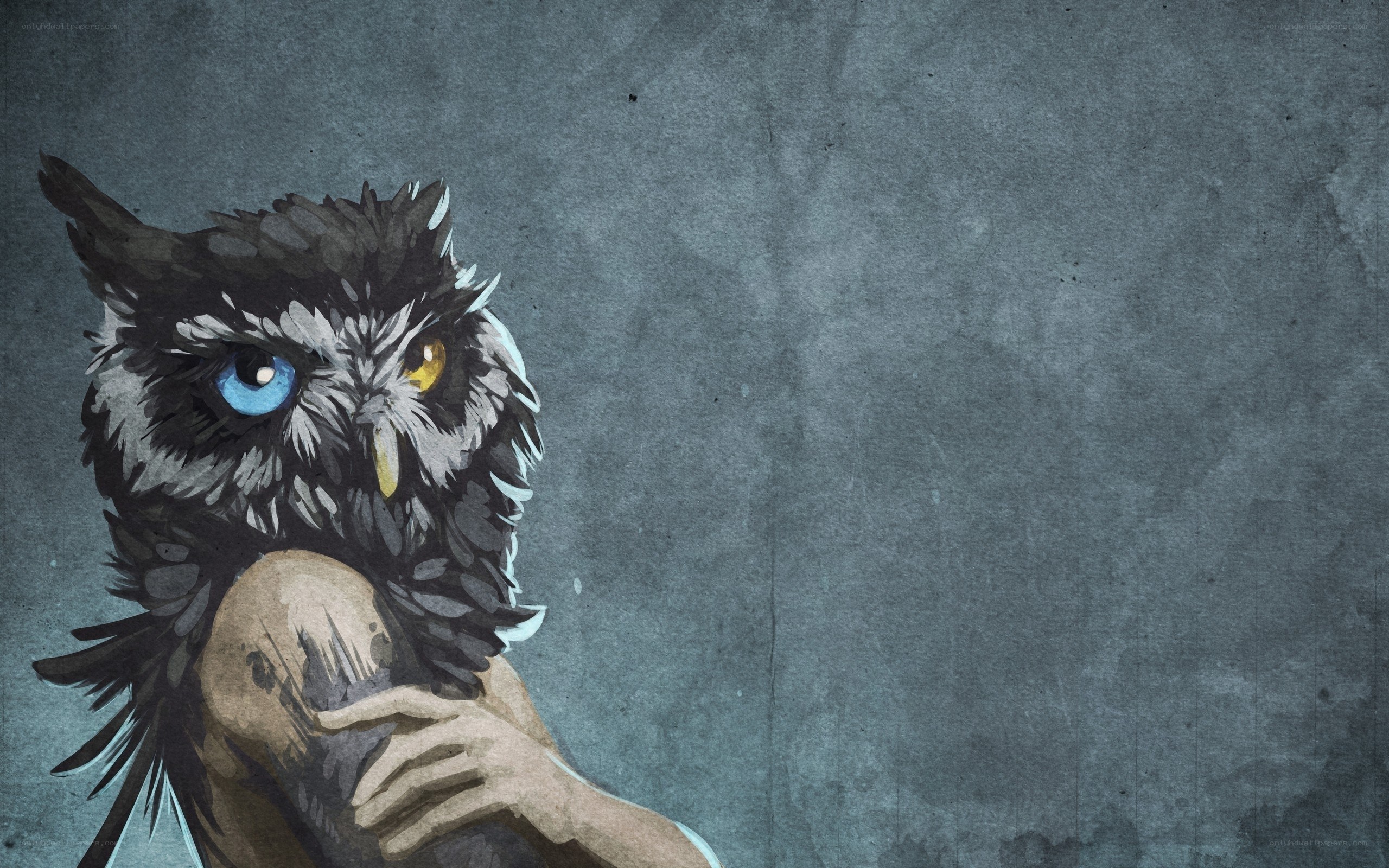 owl with mismatched eyes
