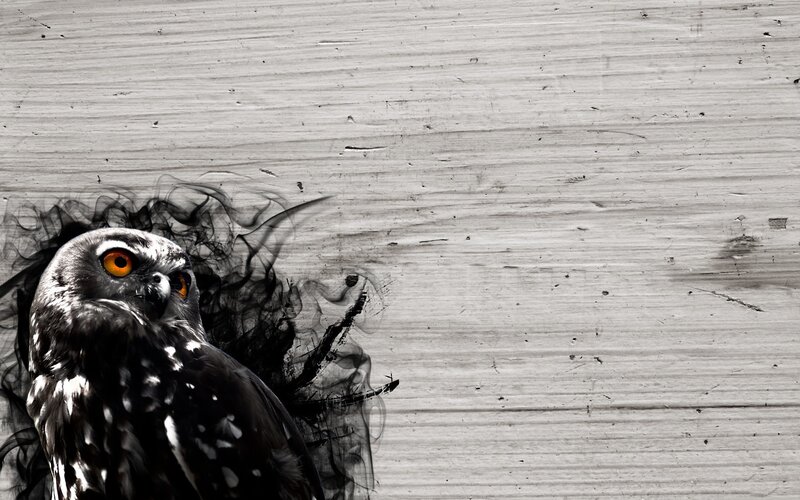 Owl with Orange Eyes — Black, Dramatic, Digital Art
