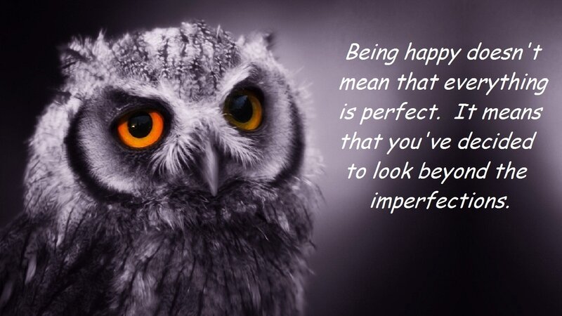 Owl with Orange Eyes — Gray, Serious