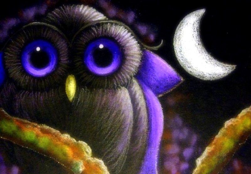 Owl with Purple Eyes