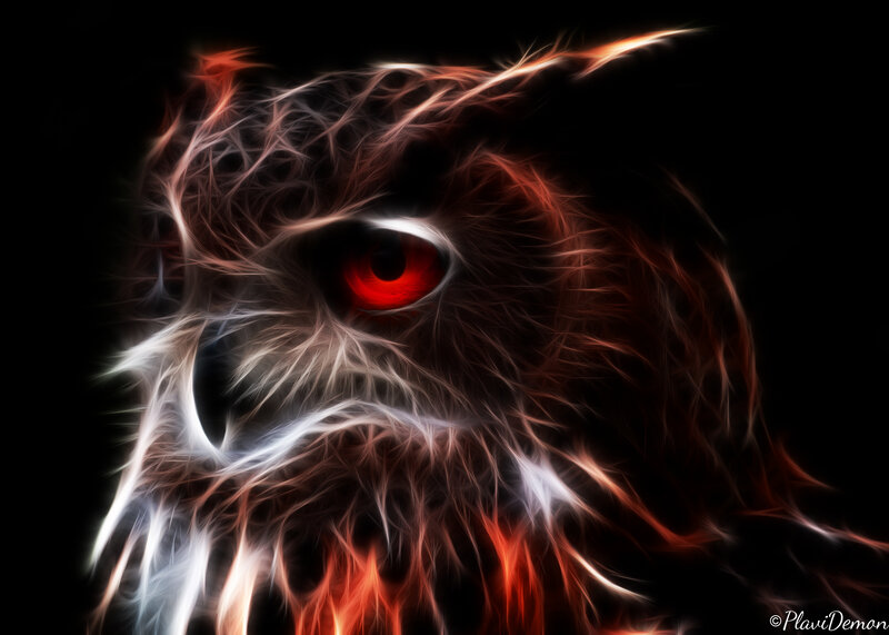 Owl with Red Eye