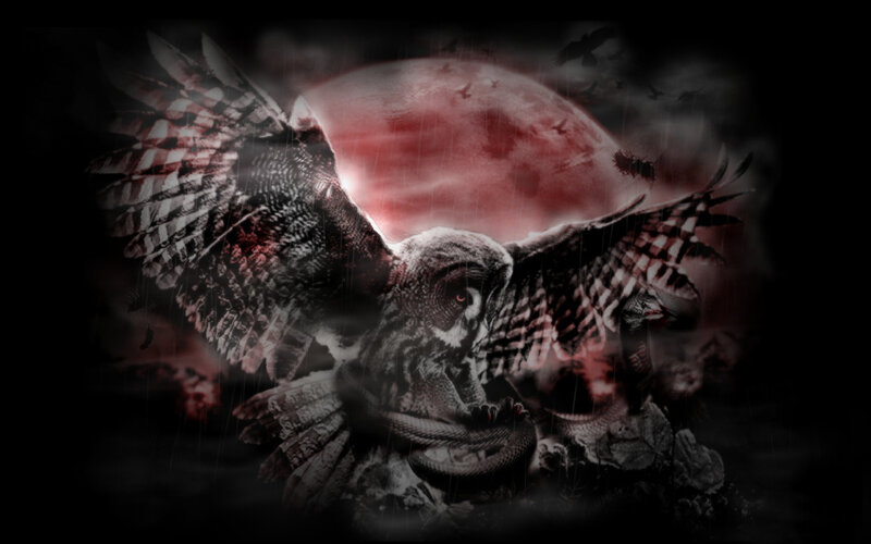 Owl with Snake
