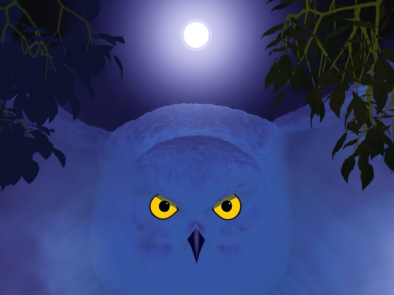 Owl with Yellow Eyes — Blue