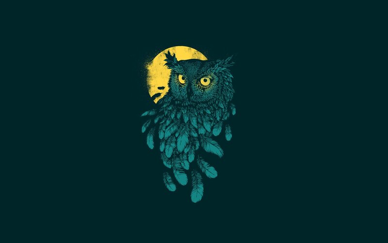 Owl with Yellow Eyes — Teal