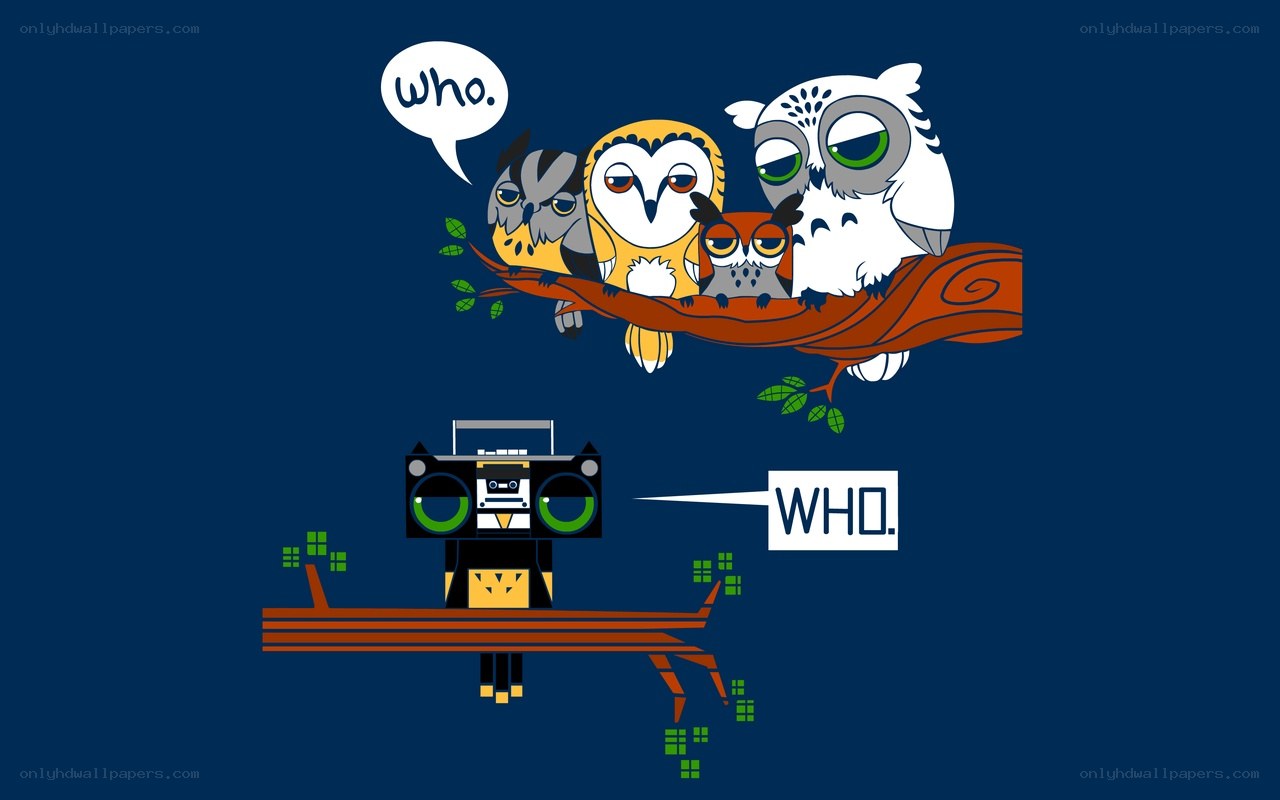 Owls and a boombox