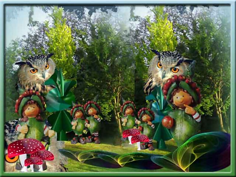 Owls and Forest Creatures