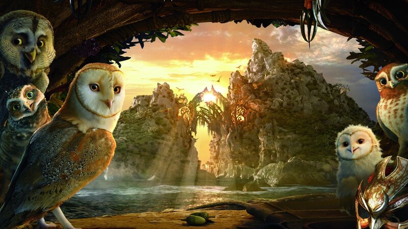 Owls at sunset by the sea