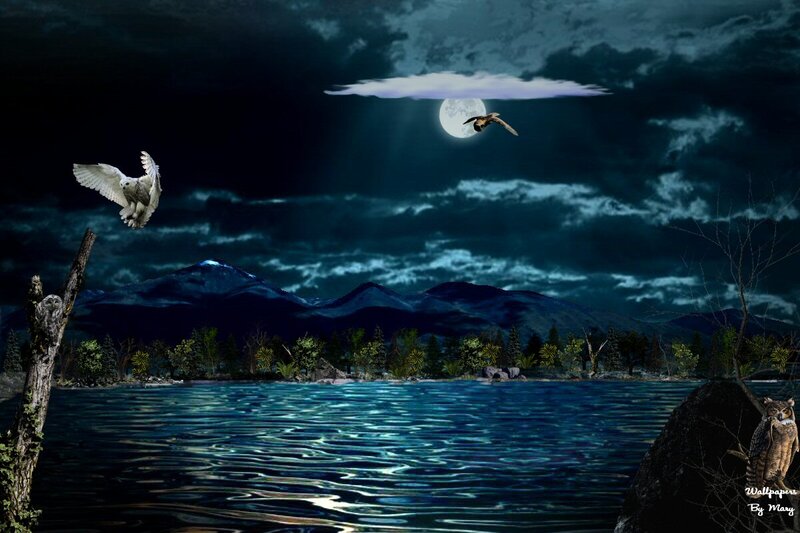 Owls Flying over Lake
