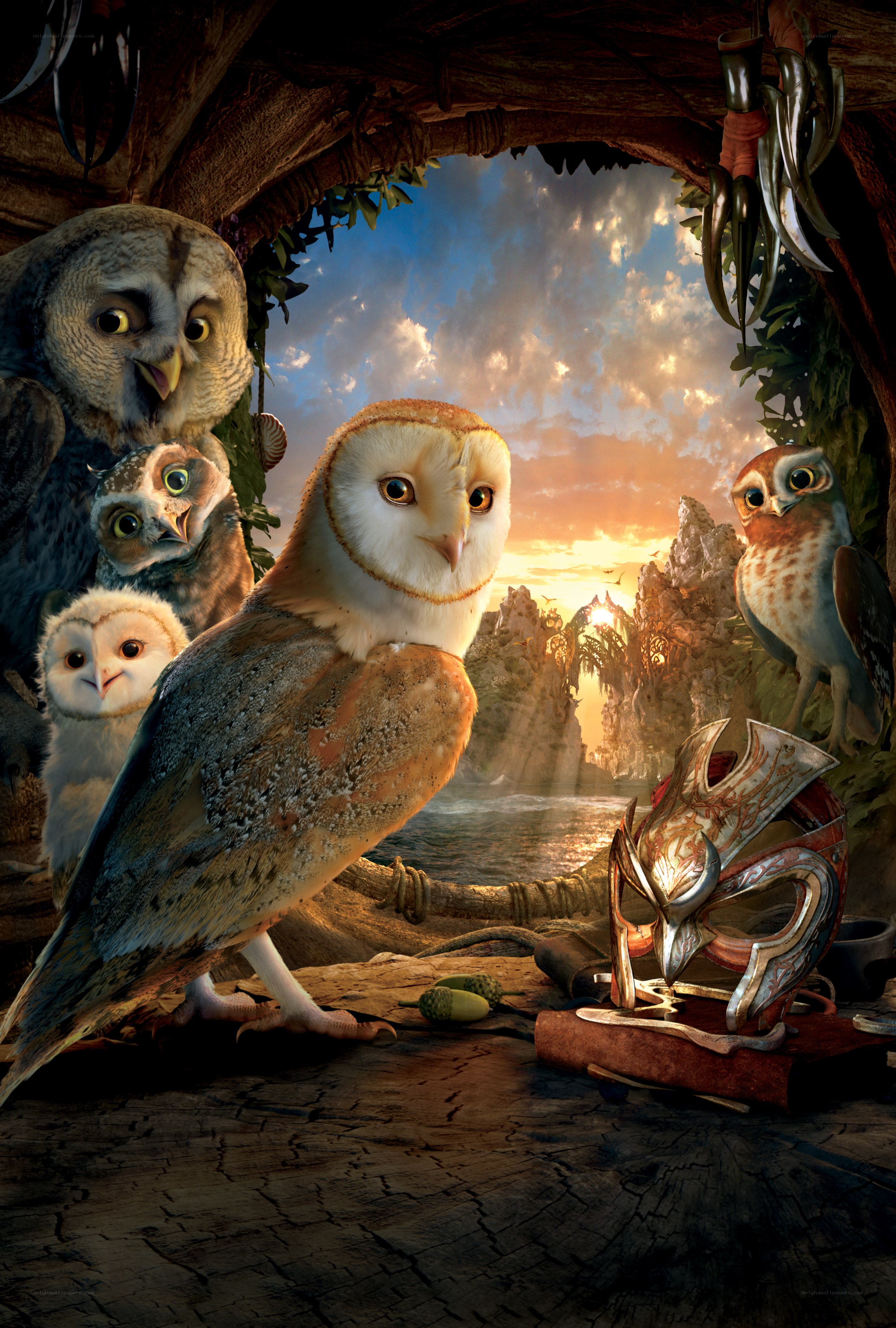 Owls in a cave at sunset