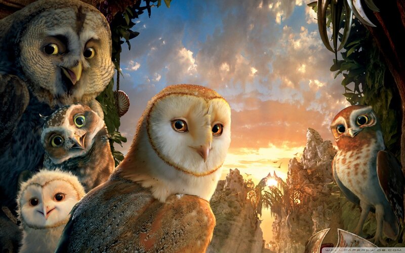 Owls in a forest at sunset