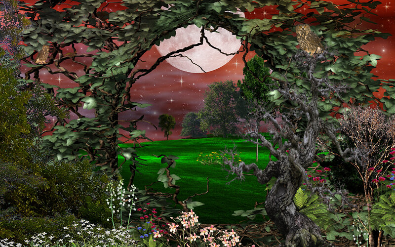 Owls in a Forest — Green, Mystical