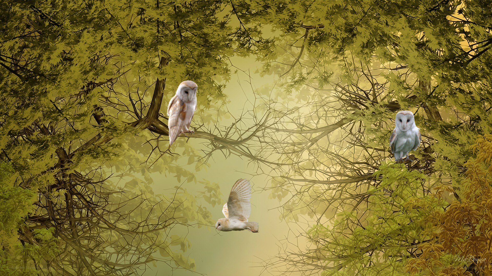 Owls in a golden forest