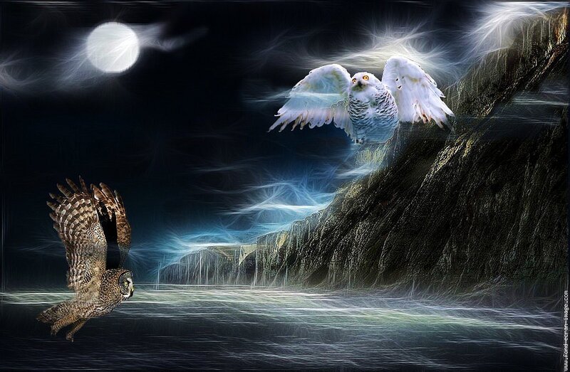 Owls in a moonlit landscape