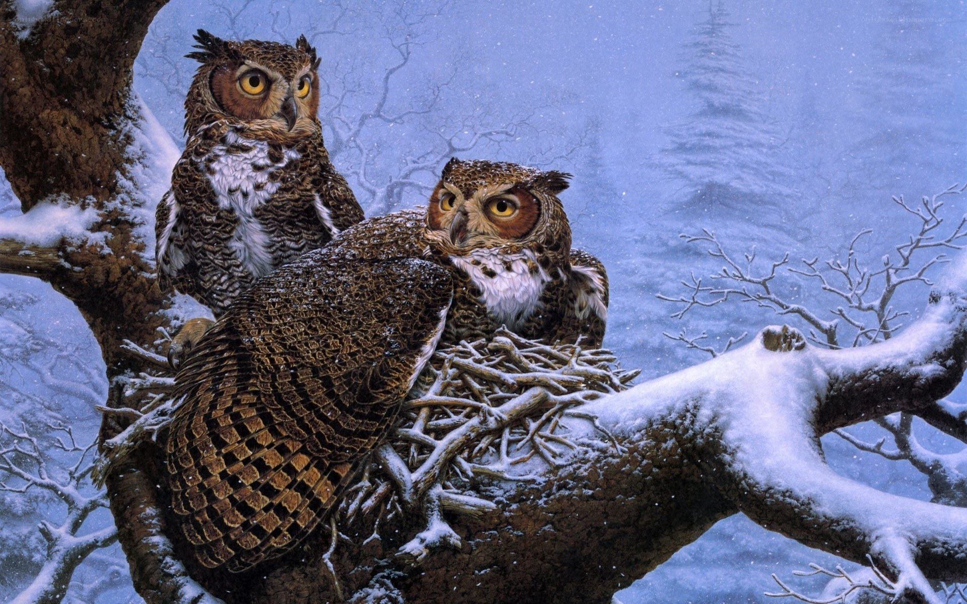 Owls in a snowy nest