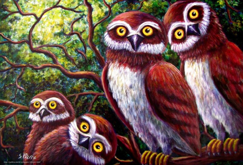 Owls in a tree