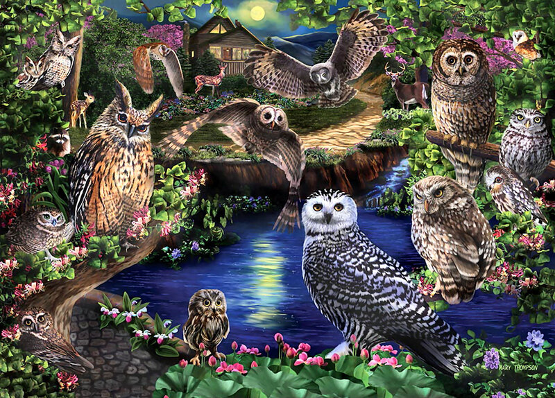 Owls in Forest Scene