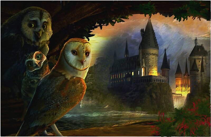 Owls in Front of Castle