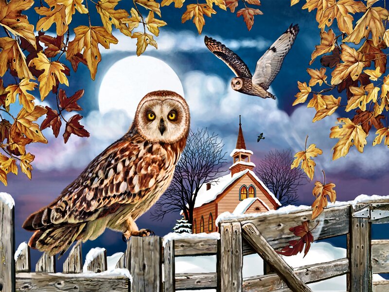 Owls on a Fence