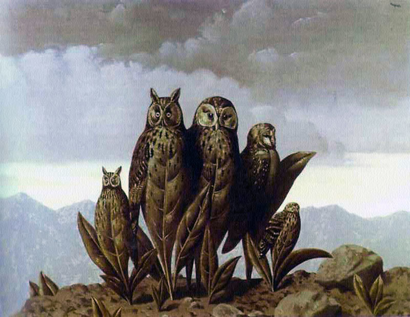 Owls on a rocky hill