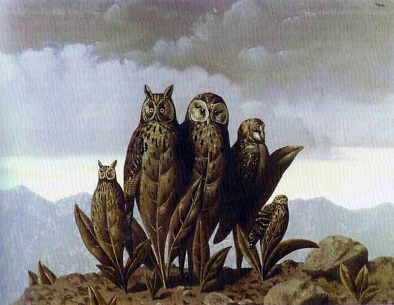 Owls on a rocky hill