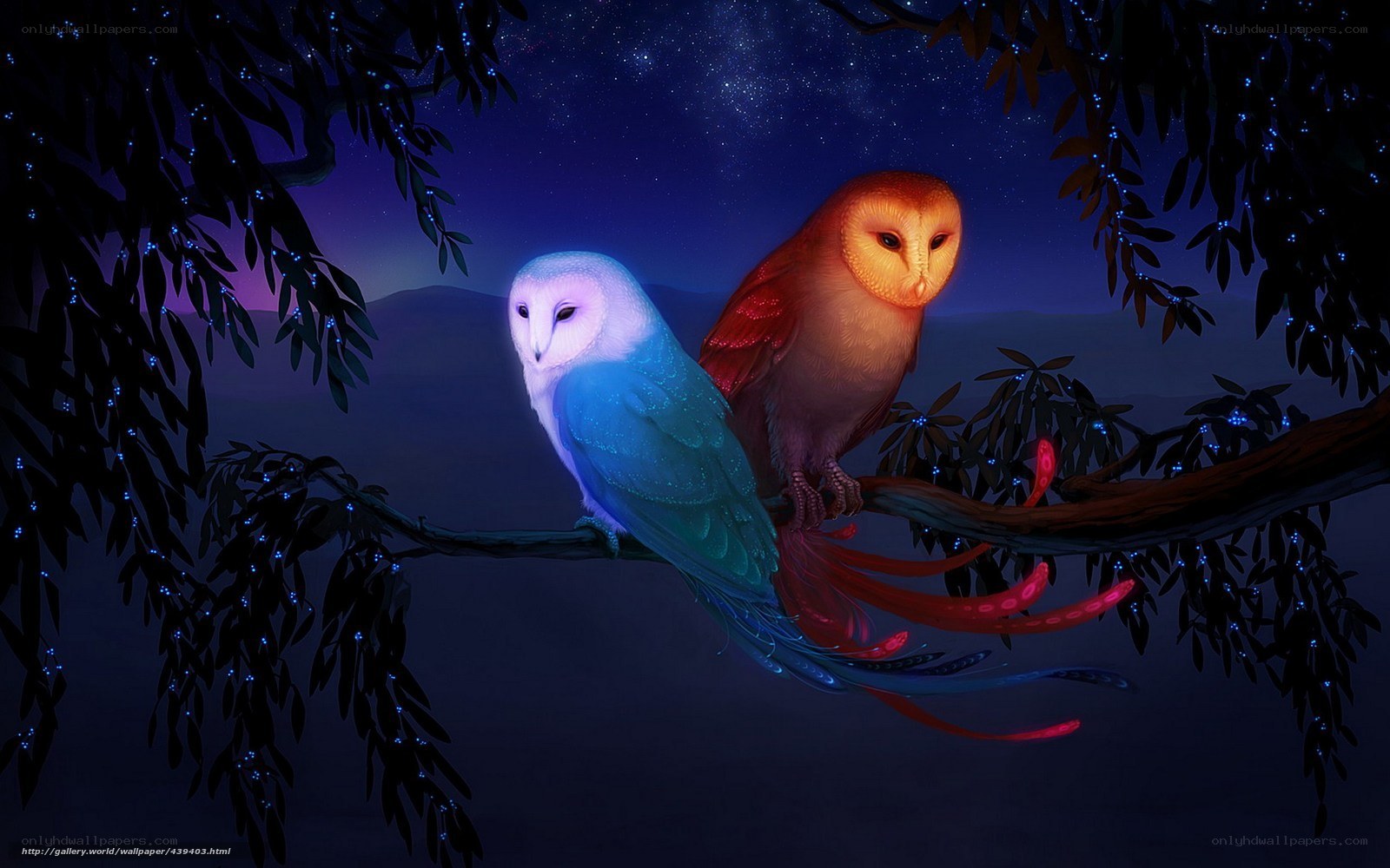 Owls on a starry night