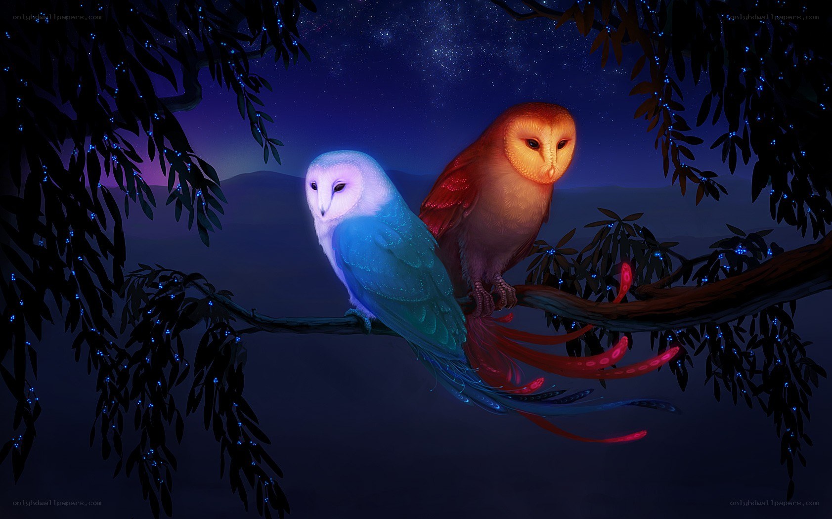 Owls on a starry night
