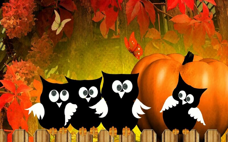 Owls on Fence