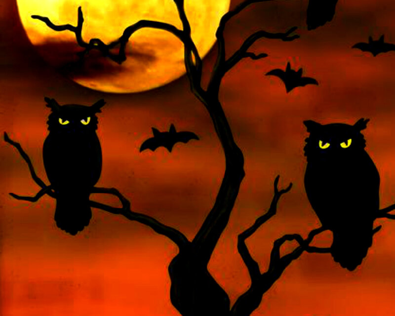 Owls on Tree Branches
