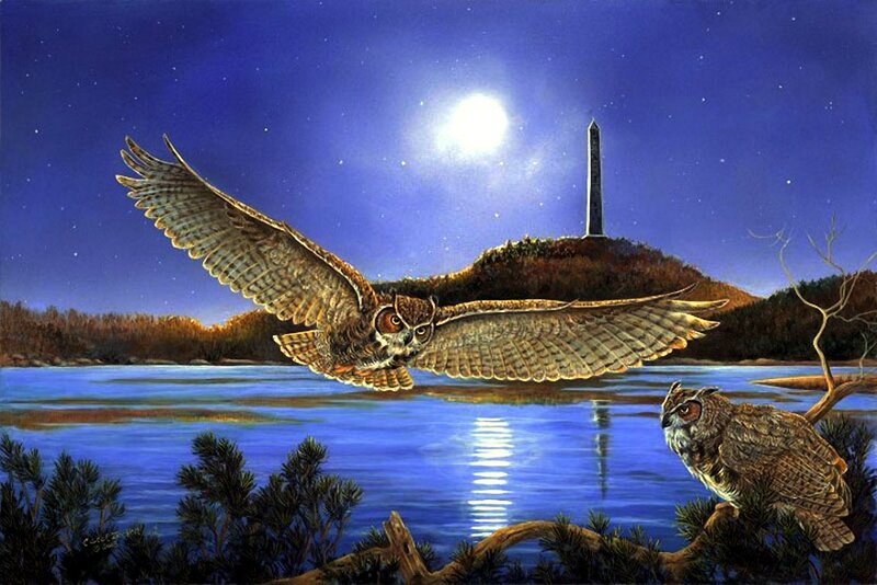 Owls over Lake