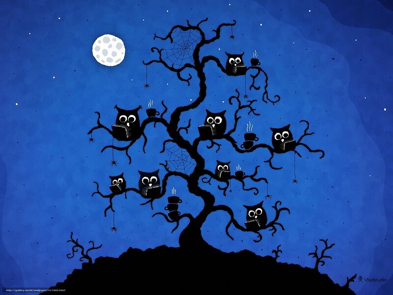 Owls reading under the moon