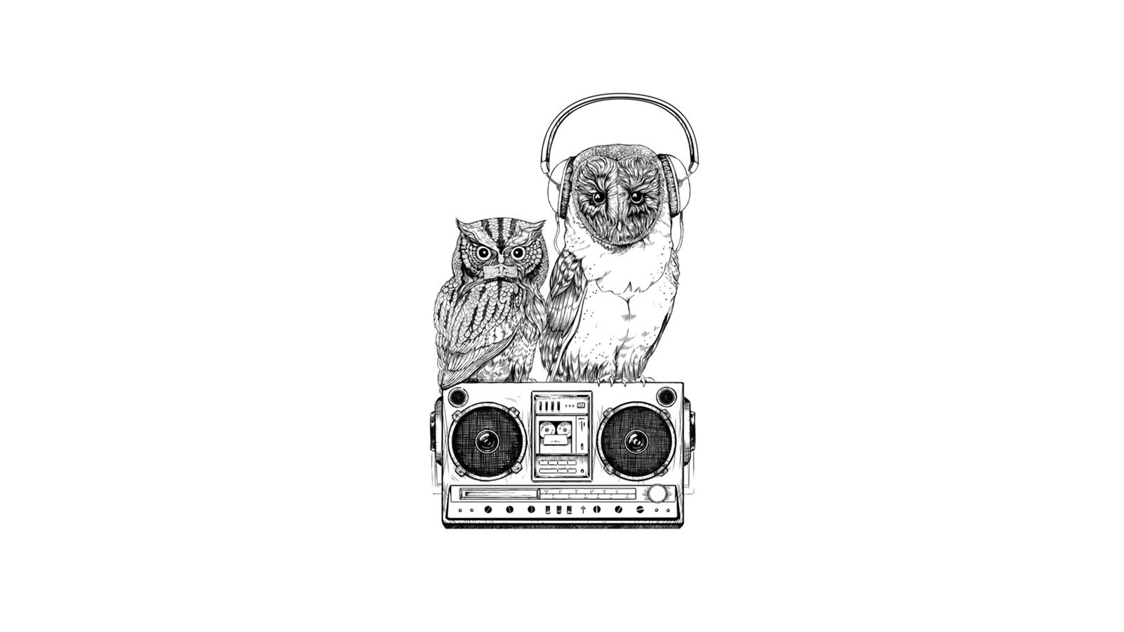 owls with boombox illustration