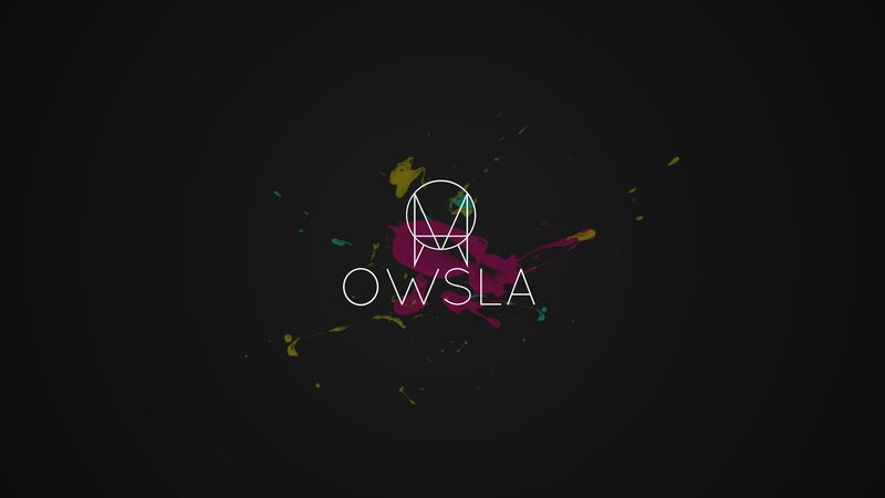 OWSLA Logo with Paint Splatter — Black