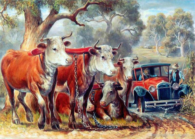 Oxen Pulling a Car