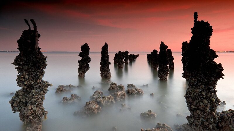 Oyster-covered Pillars — Red