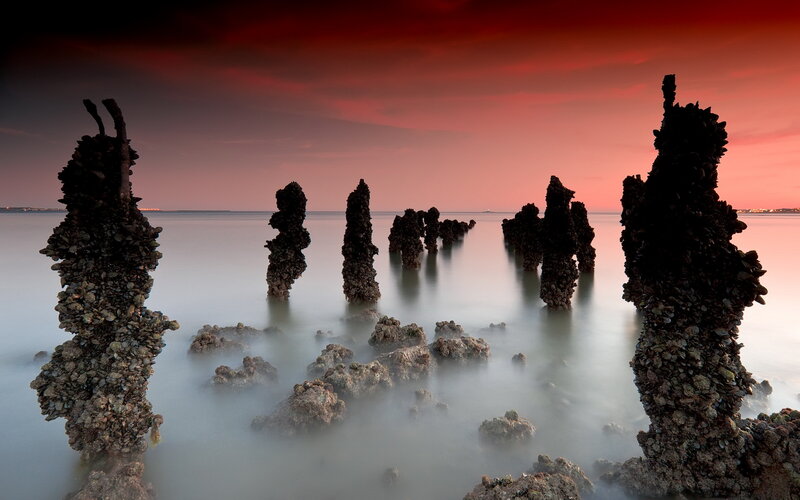 Oyster-covered Pillars