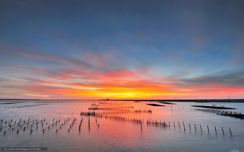 Oyster Farms at Sunset
