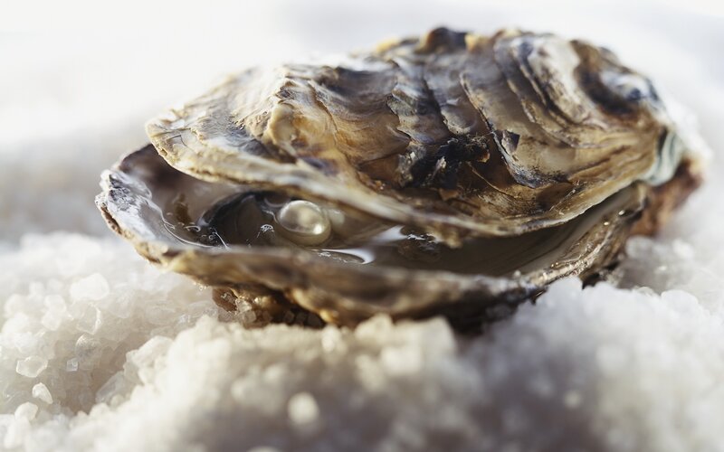 oyster on crushed ice