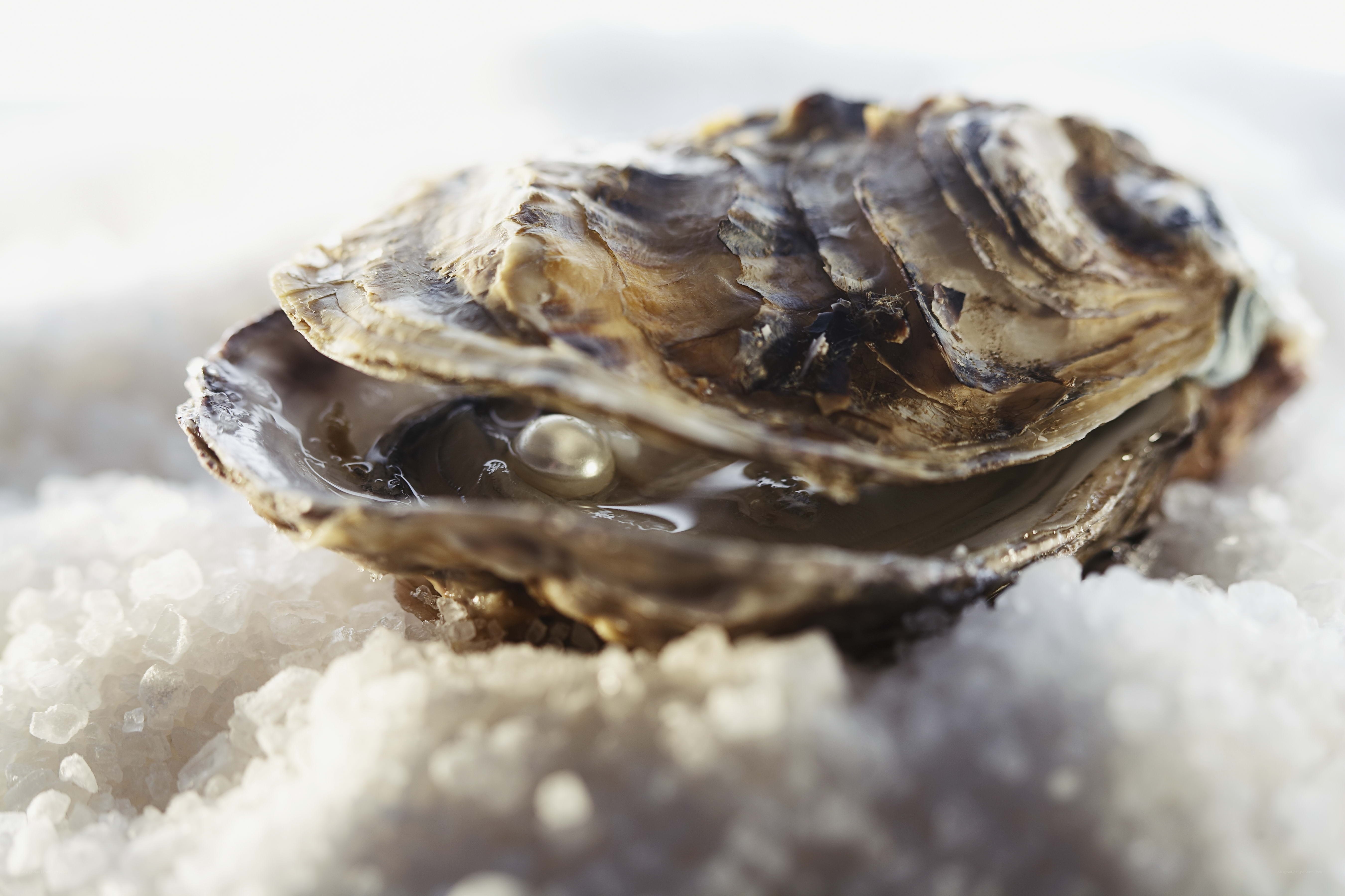 oyster on crushed ice
