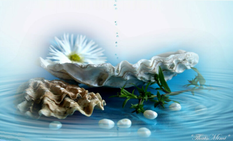 Oyster Shell with Pearls